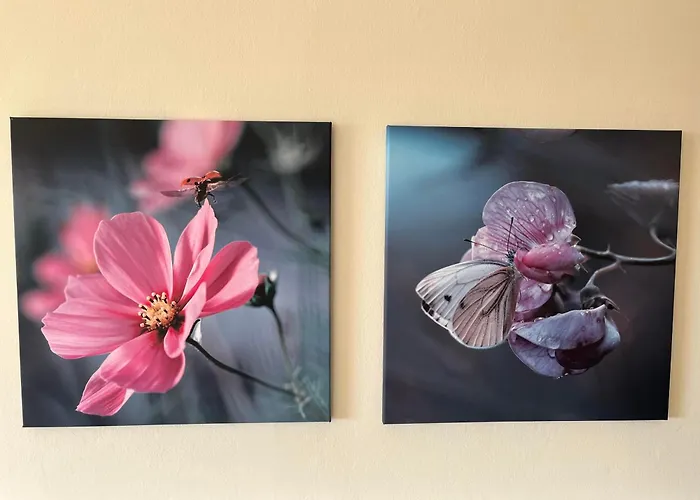 Appartement Almschloessl